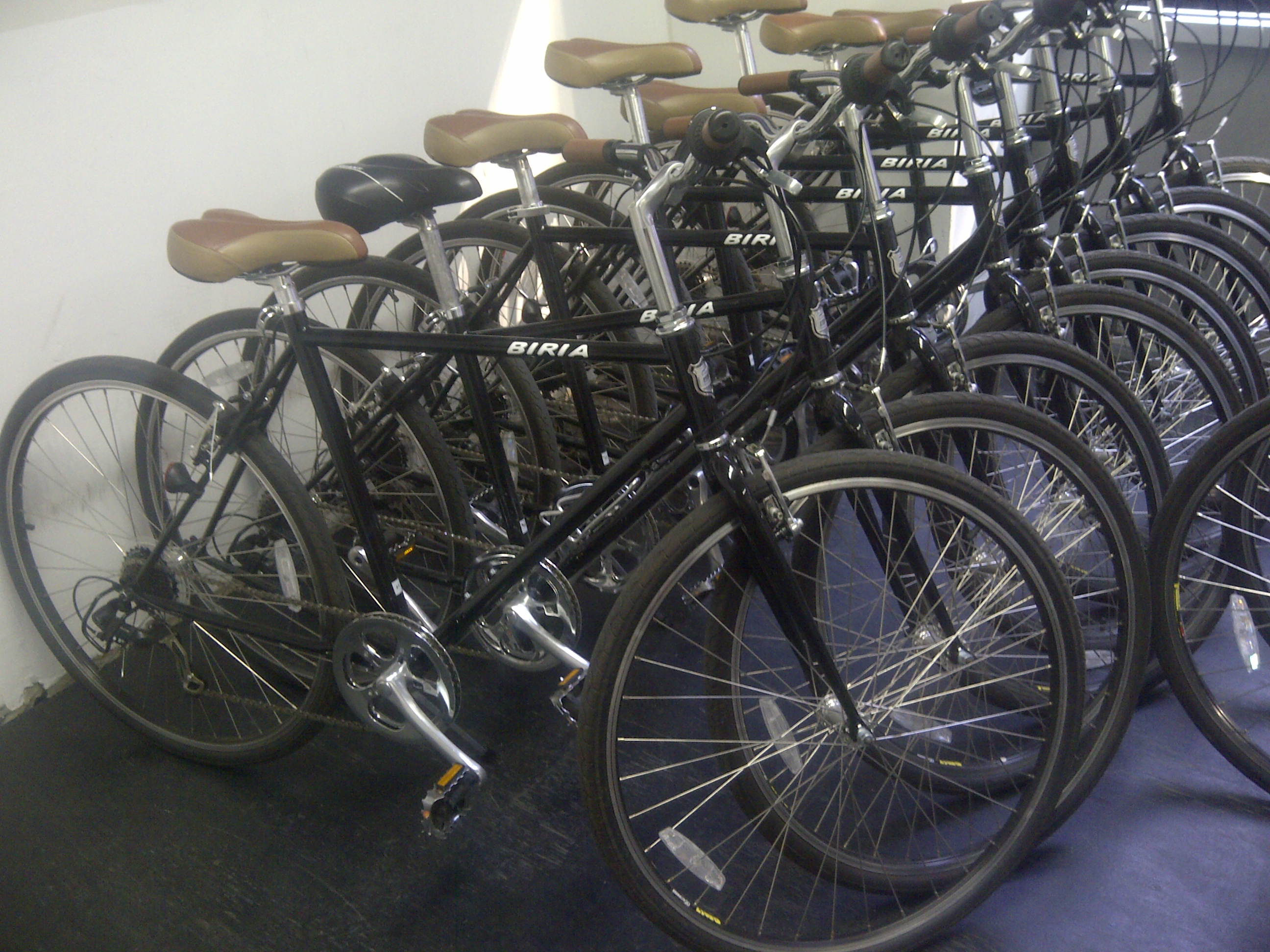 Central Park Bicycle Hire